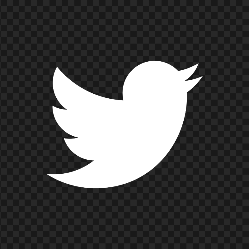 hd-white-twitter-bird-logo-icon-png-701751694781835zcpqy8so3y